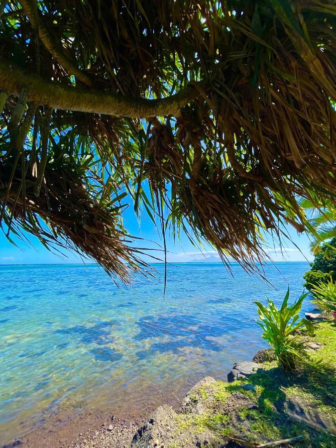 O'Coco Bungalow- Breathtaking Waterfront Views, Endless Memories Paea Экстерьер фото