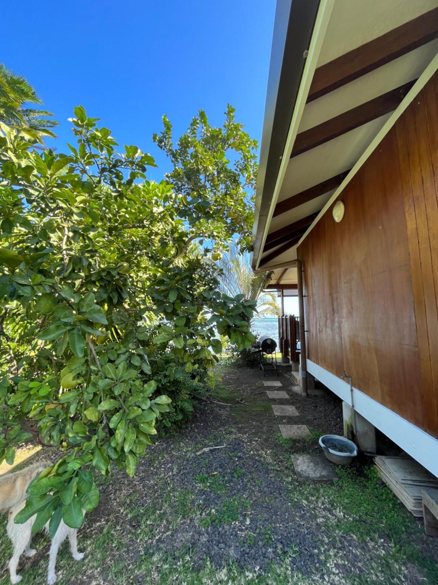 O'Coco Bungalow- Breathtaking Waterfront Views, Endless Memories Paea Экстерьер фото