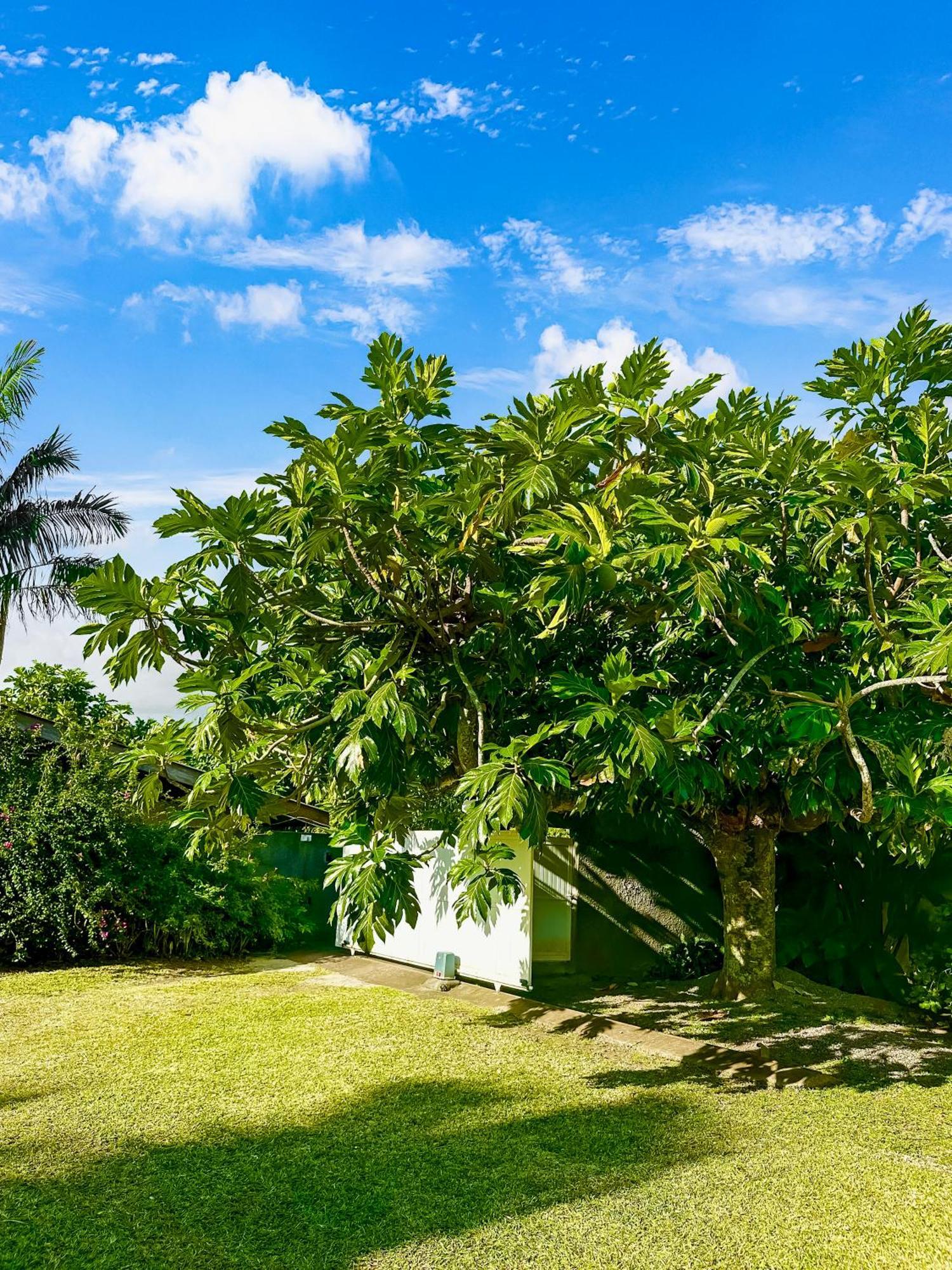 O'Coco Bungalow- Breathtaking Waterfront Views, Endless Memories Paea Экстерьер фото